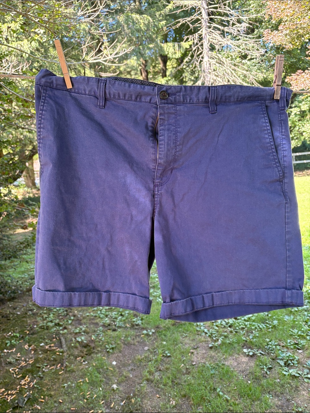 Daniel Hechter Navy Flat Front Cotton Shorts